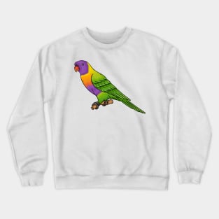 Rainbow lorikeet bird cartoon illustration Crewneck Sweatshirt